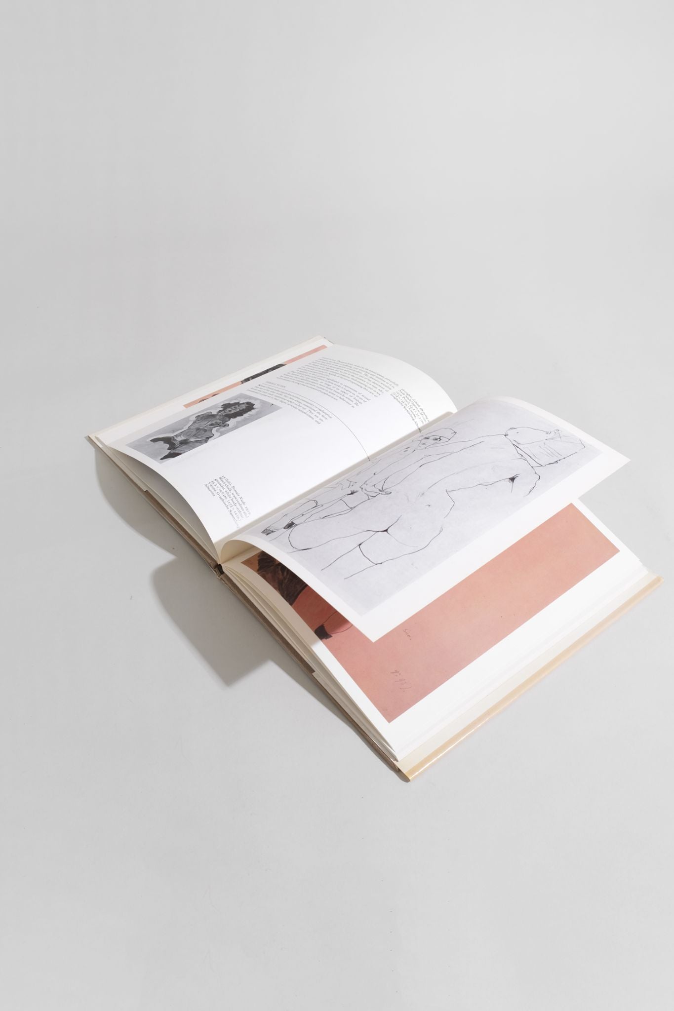 Egon Schiele Book - 5